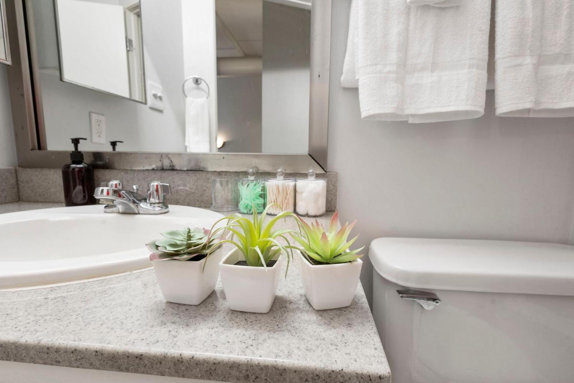 Apartmán Indy Loft - Monument Circle - Sleeps 7 - Convention Walkable Indianapolis Exteriér fotografie